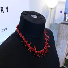 Load image into Gallery viewer, Sponge Coral Necklace Organic